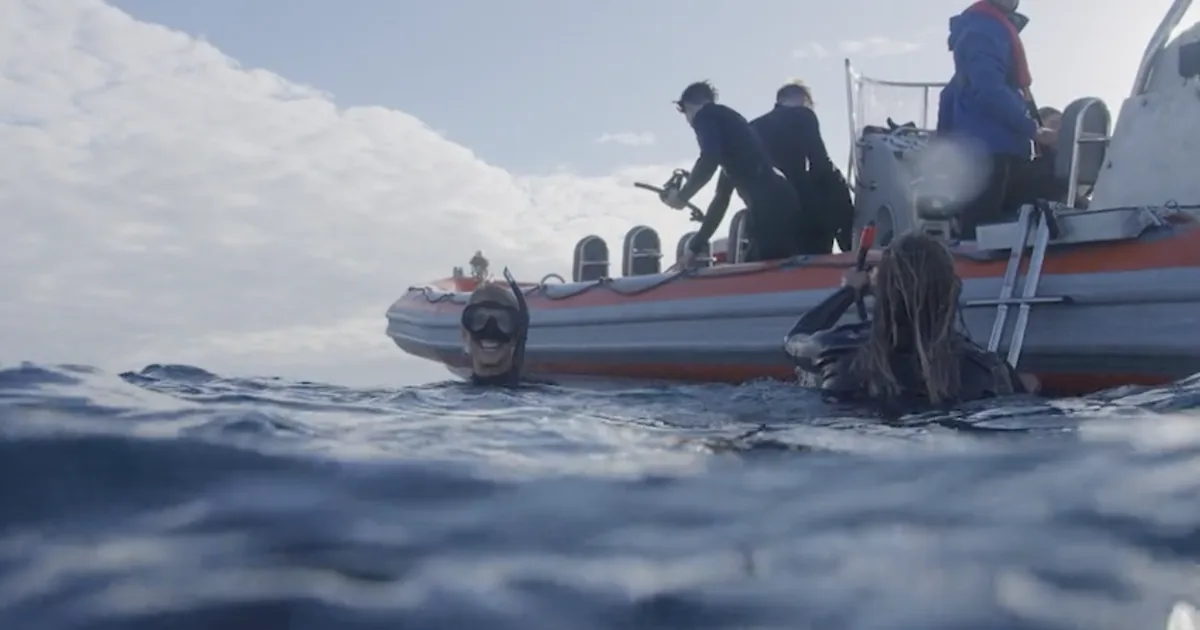 A small whale-swim boat off the Gold Coast with swimmers in wetsuits on deck